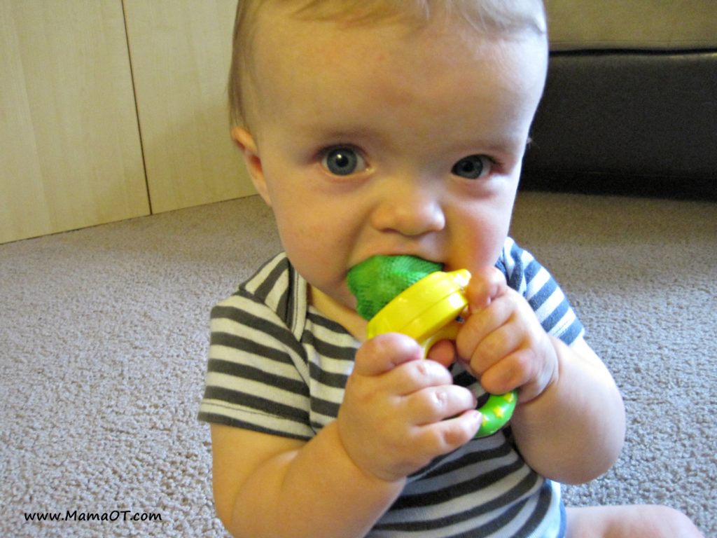 Baby Fresh Food Feeder – Tips and Advice